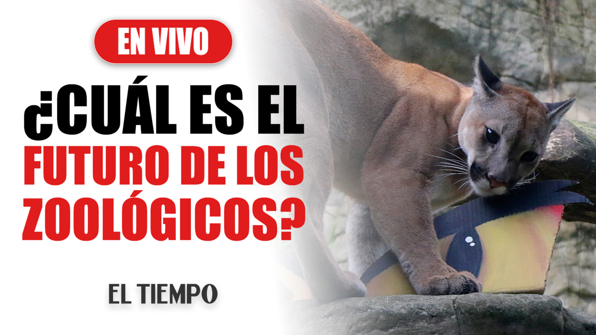 ¿Qué les depara el futuro a los zoológicos?
 – Primer plano
