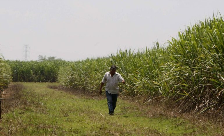 Ataque armado a autobús que transportaba cortadores de caña de azúcar en Cauca

 – Primer plano