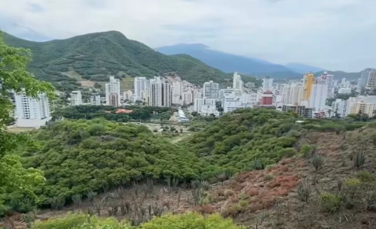 Colina que los empresarios quieren hacer una empresa en Santa Marta

 – Primer plano