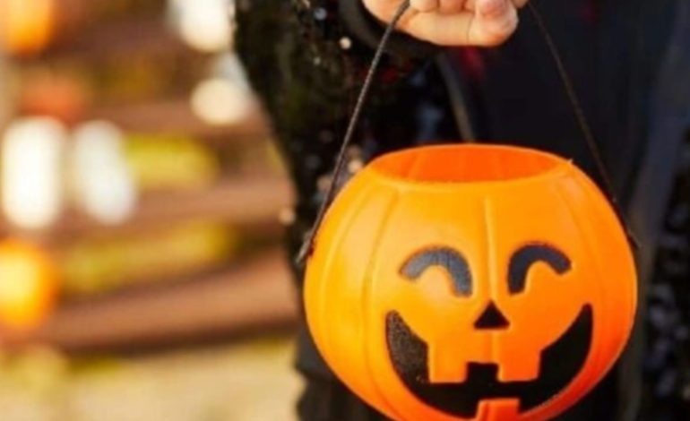 Halloween: auge económico y desafío para la seguridad infantil
 – Primer plano