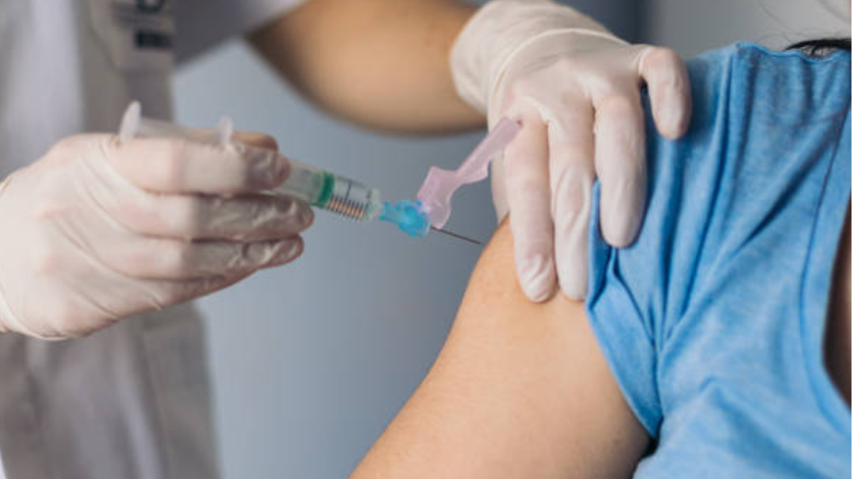 Cuidado con la fiebre amarilla

 – Primer plano