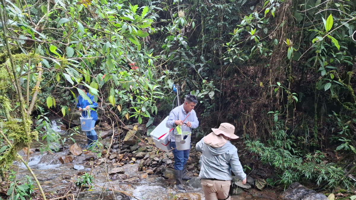 El seguimiento se realiza en 20 cuencas fluviales.

 – Primer plano