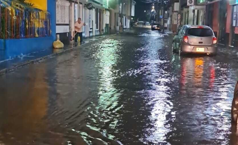 Esto es más de la mitad de la región afectada.
– Primer plano