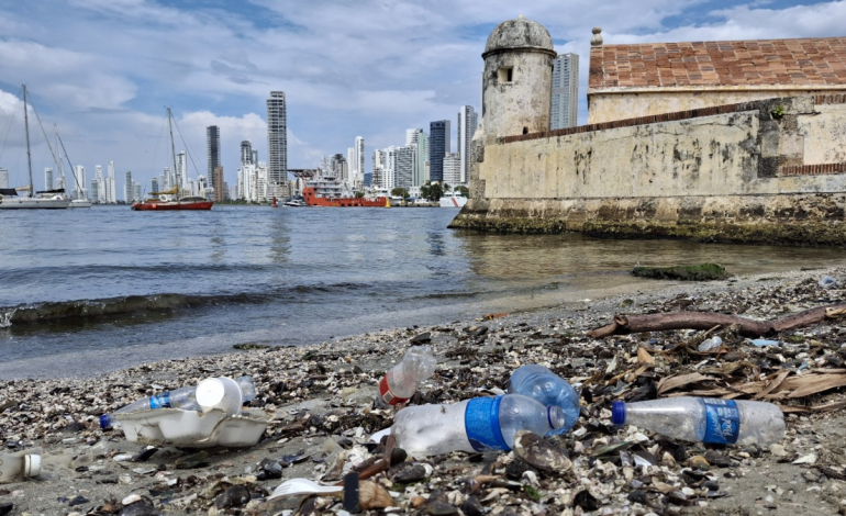 Estudio revela grave impacto en playas, manglares y fauna marina

 – Primer plano