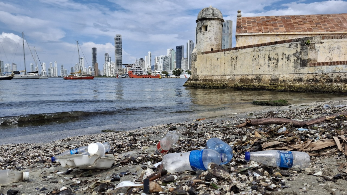 Estudio revela grave impacto en playas, manglares y fauna marina

 – Primer plano