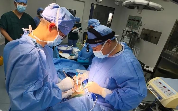 Cirujanos chinos realizan un trasplante de hígado de un cerdo a un humano que ha sobrevivido seis meses
– Primer plano