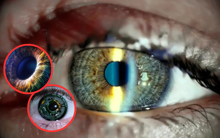 Un revolucionario implante ocular devuelve la vista a los ciegos
 – Primer plano