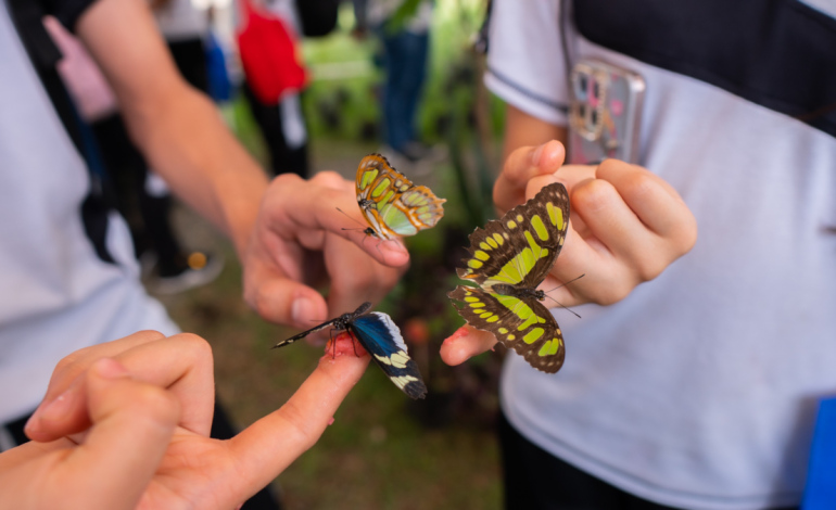 Junto con la presentación de una sorprendente mariposa, la puerta de la ciudadela educativa de la diversidad biológica se abrió en la pulgada del norte

 – Primer plano