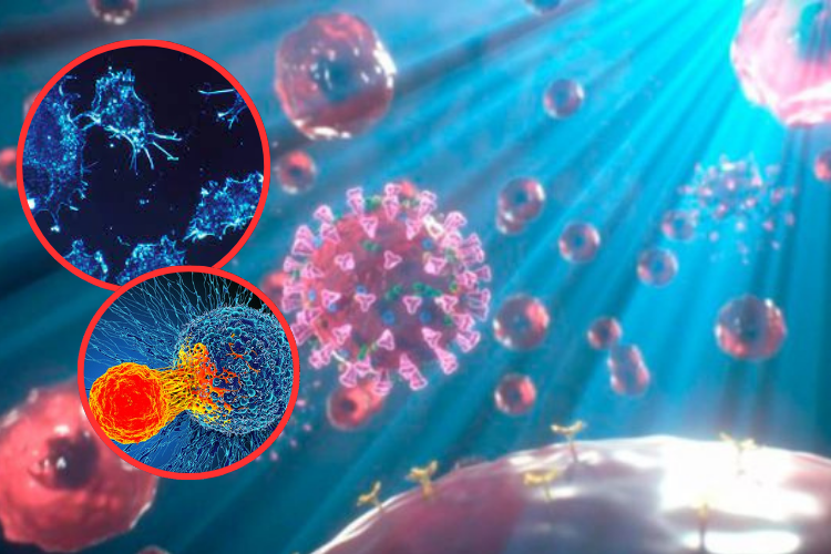 La luz LED elimina el 99% de las células cancerosas de piel en un nuevo tratamiento experimental

 – Primer plano