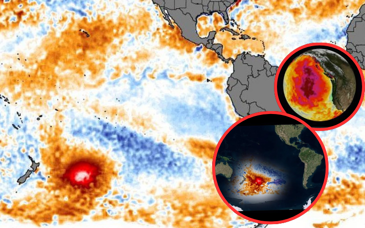 Misterioso punto caliente del Pacífico Norte alarma a los científicos por una temperatura récord
 – Primer plano