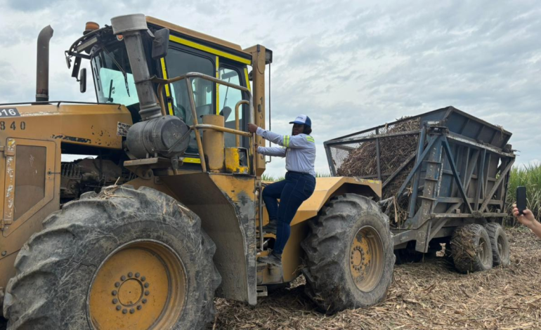 Sin miedo ni prejuicios, las mujeres se las arreglan en una industria masculinizada. ¿Cómo lograron hacerlo?

 – Primer plano