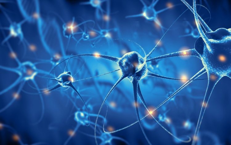 Las neuronas artificiales están conectadas con las células vivas

 – Primer plano