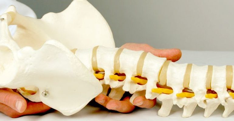 Día Mundial de la Columna Vertebral: cuidando las bases de nuestro bienestar

 – Primer plano