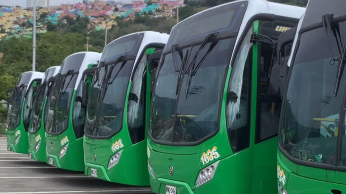 Manténgase actualizado | Metrolínea inició operaciones en Bucaramanga con 12 buses prestados de Medellín que circularán en una franja exclusiva: rutas
 – Primer plano