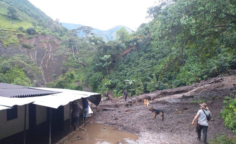 En 2025, 39 muertes provocaron 292 movimientos masivos

 – Primer plano