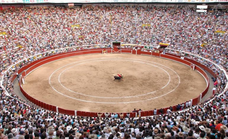 Dudas sobre la aplicación de la ley «No más olé» en la «fiesta brava» de fin de año

 – Primer plano