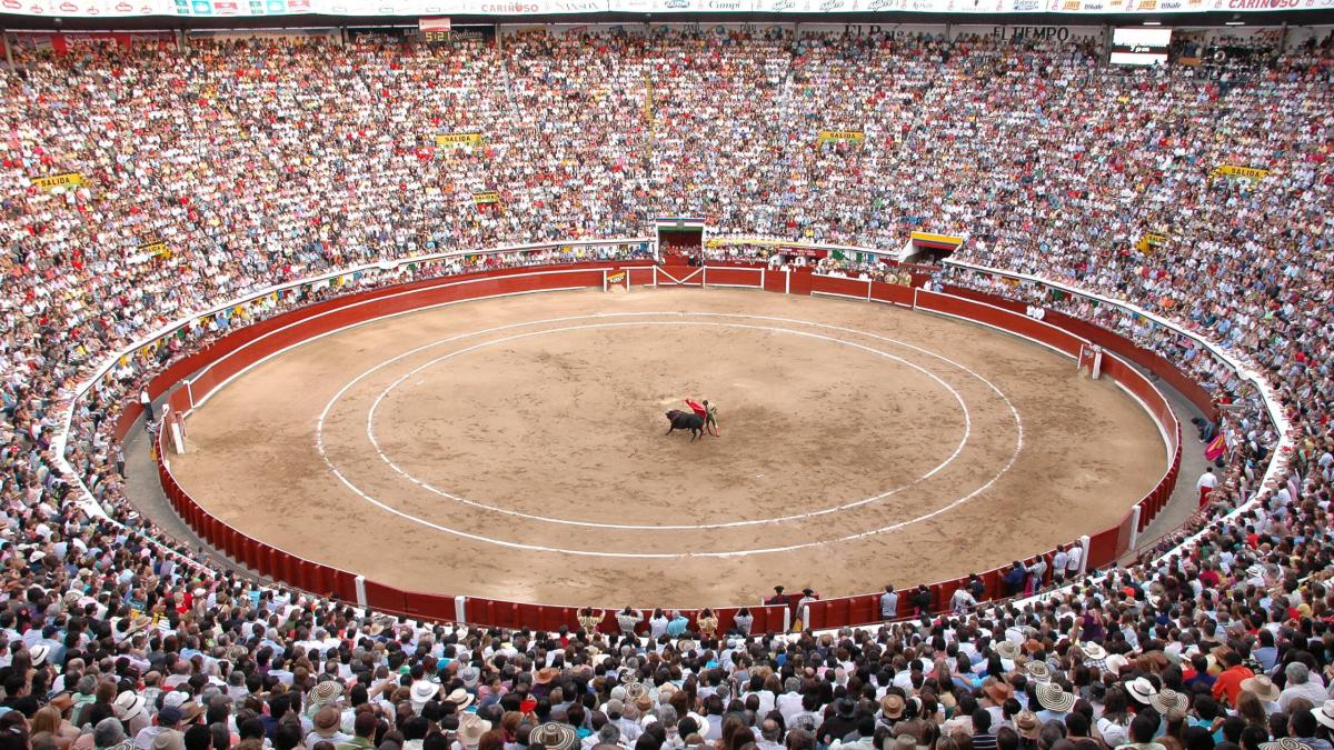 Dudas sobre la aplicación de la ley «No más olé» en la «fiesta brava» de fin de año

 – Primer plano