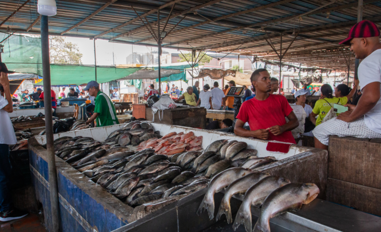 Anuncian renovación de Plaza del Pescado y Barranquillita; El valor de la inversión supera los 45 mil millones de dólares

 – Primer plano