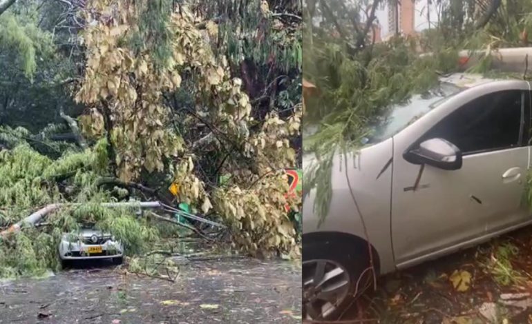 Más de 6.800 emergencias han sido atendidas en lo que va de 2025, de las cuales 1.844 fueron provocadas por fuertes lluvias

 – Primer plano