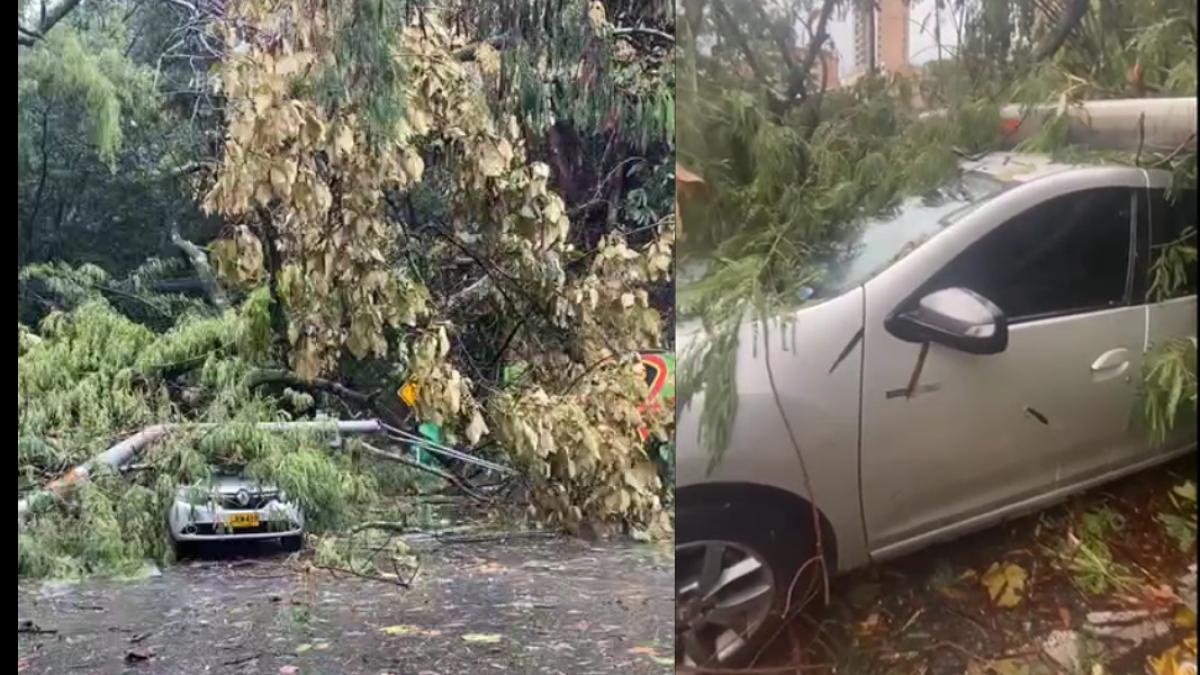 Más de 6.800 emergencias han sido atendidas en lo que va de 2025, de las cuales 1.844 fueron provocadas por fuertes lluvias

 – Primer plano