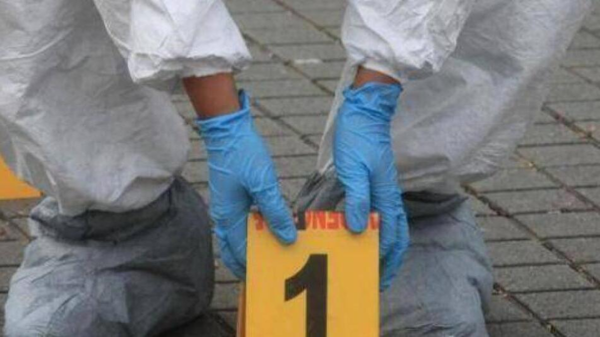 Esto se debe a la sangrienta guerra de “Los Flacos” vs “La Nueva Generación”

 – Primer plano