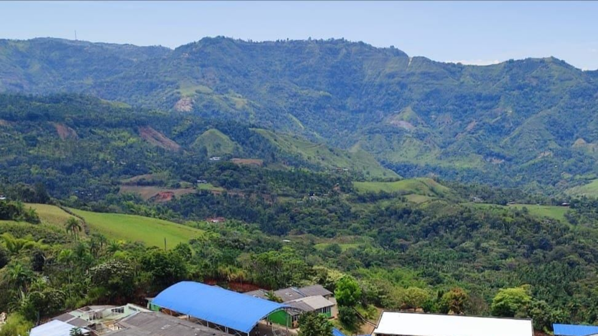 En Cuatro Esquinas condenan ataques armados que impiden trabajar en El Tambo
 – Primer plano