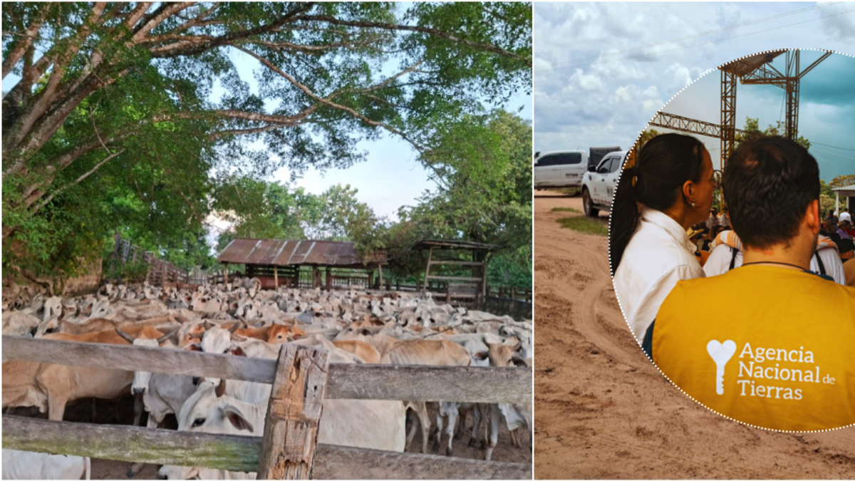 Bunshiro Takemoto, un agricultor japonés que sobrevivió a dos secuestros y fundó una escuela de aprendizaje en Meta, acusa a ANT de despojarlo de sus tierras
 – Primer plano