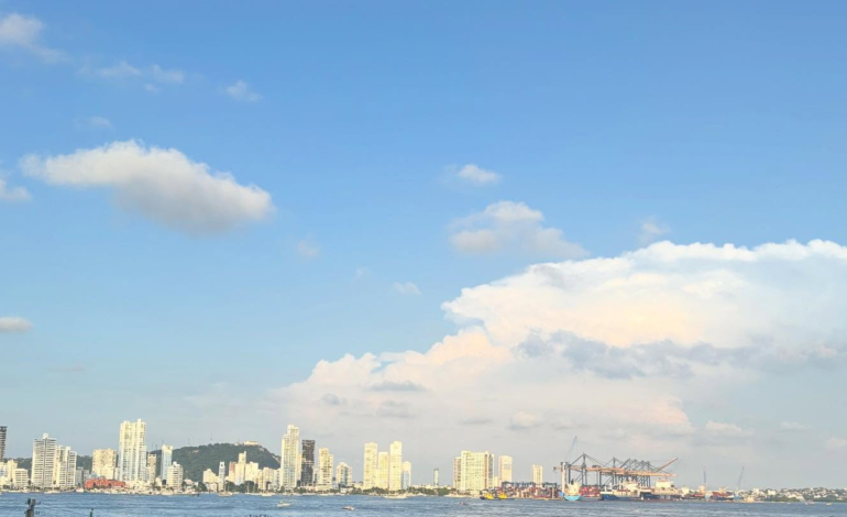 En la bahía de Cartagena encuentran un cadáver en avanzado estado de descomposición; El cuerpo no ha sido identificado y está bajo investigación.

 – Primer plano