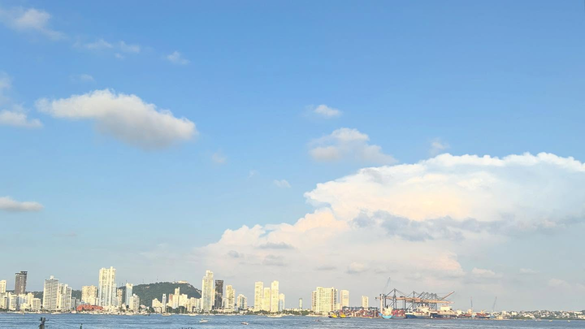 En la bahía de Cartagena encuentran un cadáver en avanzado estado de descomposición; El cuerpo no ha sido identificado y está bajo investigación.

 – Primer plano