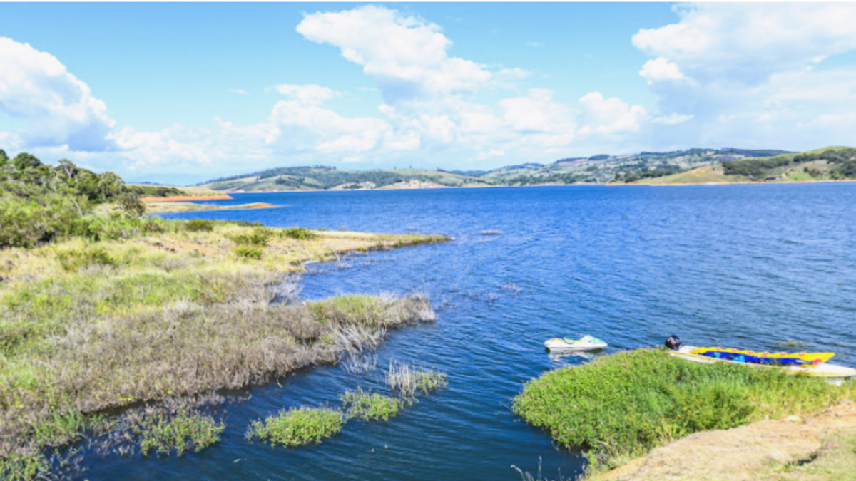 Nuevos reportes de las autoridades sobre la tragedia en el Valle.

 – Primer plano