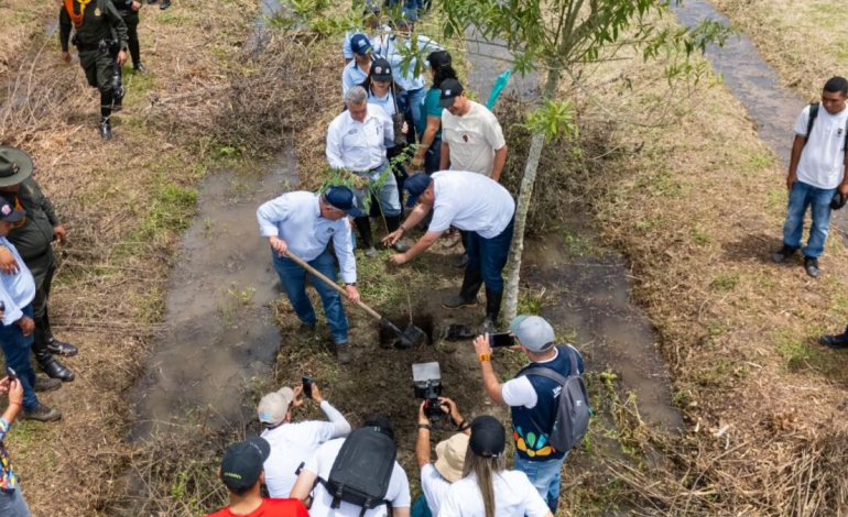 ¿Cómo hacer que el Valle del Cauca tenga un millón de árboles más? Pon las bases y CVC te dará gigantes: es un proceso

 – Primer plano