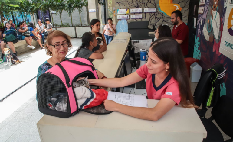 El Centro de Atención Animal de Cali alerta sobre las cinco enfermedades más comunes que afectan a perros y gatos en la ciudad.

 – Primer plano