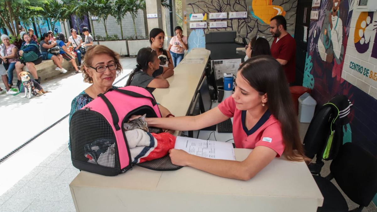 El Centro de Atención Animal de Cali alerta sobre las cinco enfermedades más comunes que afectan a perros y gatos en la ciudad.

 – Primer plano