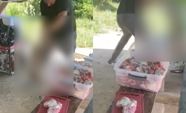 Exigen justicia por perro golpeado con palo y patadas por hombre en Antioquia

 – Primer plano