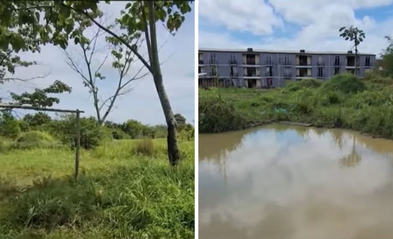 un niño de seis años murió tras caer accidentalmente a un pozo; su hermano permanece en estado crítico

 – Primer plano