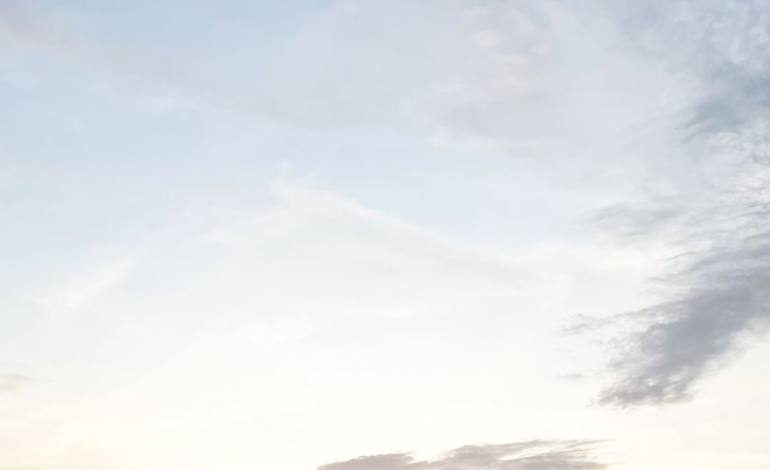 Un ecosistema costero dañado para siempre por el abandono, la salinidad excesiva y las aguas residuales.

 – Primer plano