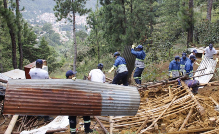 Diez estructuras ilegales en el área protegida fueron demolidas

 – Primer plano