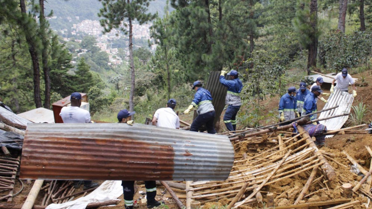 Diez estructuras ilegales en el área protegida fueron demolidas

 – Primer plano