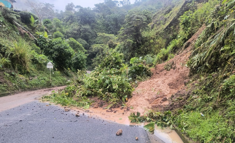 Una cascada se formó desde arriba, cayendo sobre el camino; Estos son efectos extraordinarios.

 – Primer plano