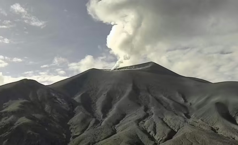 Reportan emisiones de gases, caída de cenizas y fuerte olor a azufre, nuevo récord del SGC

 – Primer plano
