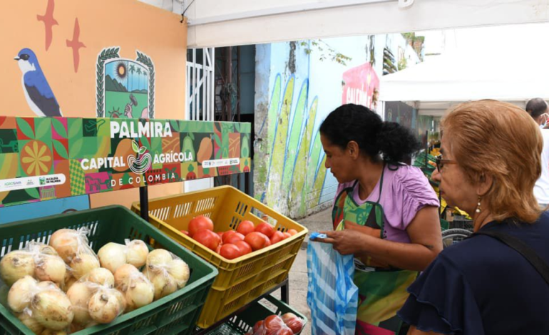 Así se desarrolla Las Delicias, un proyecto de infraestructura que se convierte en la esperanza y corazón del desarrollo de Palmira

 – Primer plano
