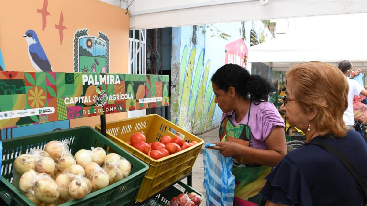 Así se desarrolla Las Delicias, un proyecto de infraestructura que se convierte en la esperanza y corazón del desarrollo de Palmira

 – Primer plano