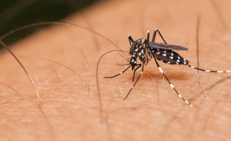 Dicen que en el primer hospital la mandaron a atención domiciliaria y murió

 – Primer plano