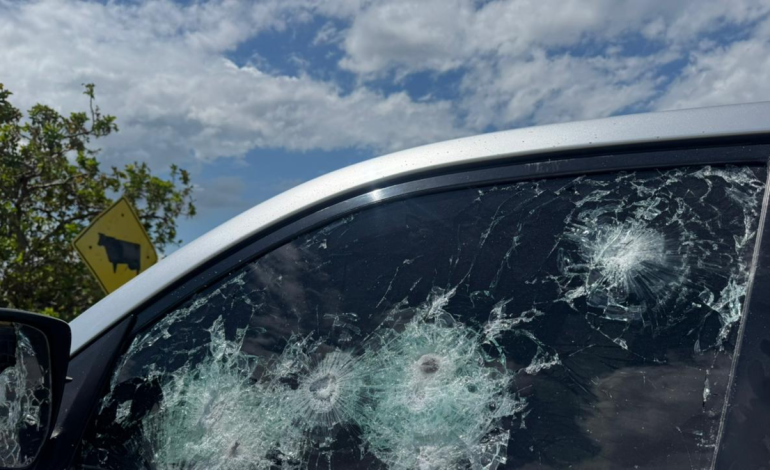 Investigan a disidentes del ELN y las FARC

 – Primer plano