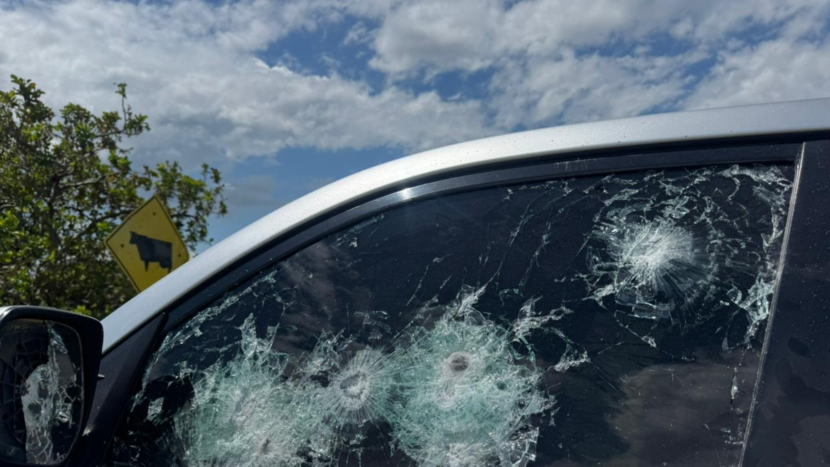 Investigan a disidentes del ELN y las FARC

 – Primer plano