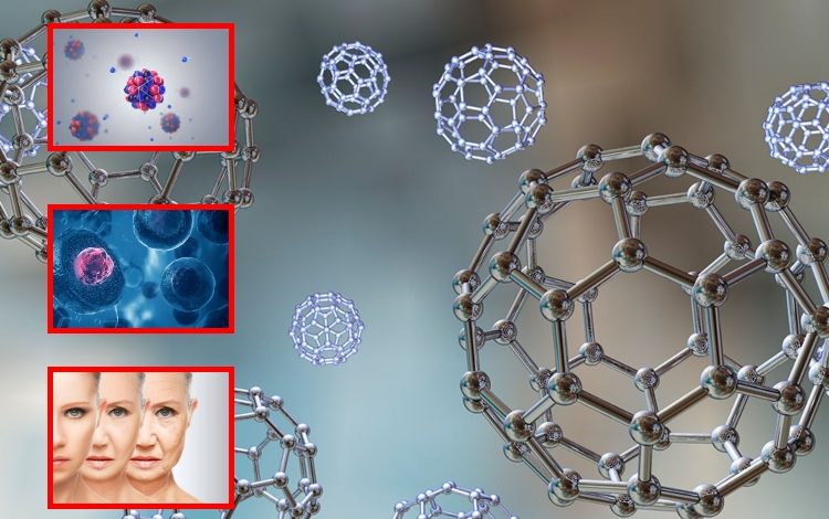 Nanopartículas que rejuvenecen las células: avances contra el envejecimiento

 – Primer plano