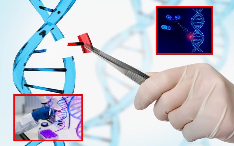 Un tratamiento que repara cientos de enfermedades genéticas

 – Primer plano