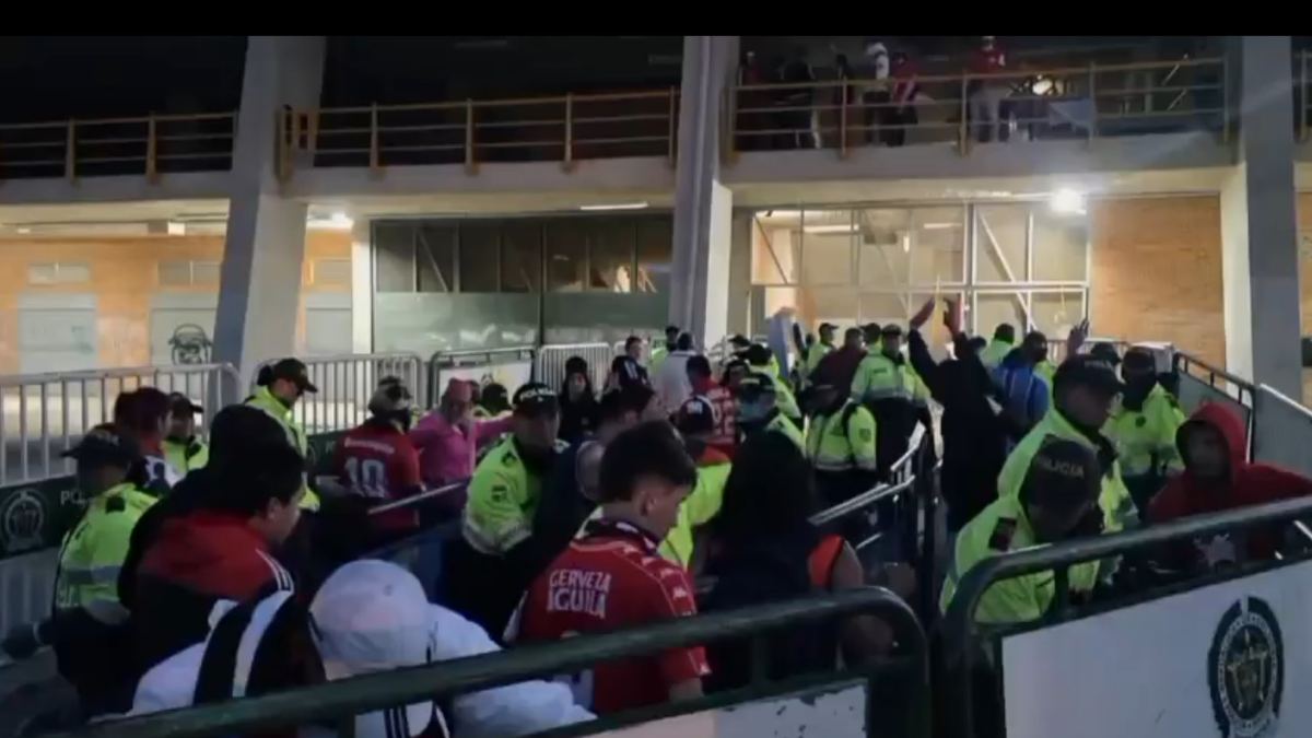 esto es lo que encontraron

 – Primer plano