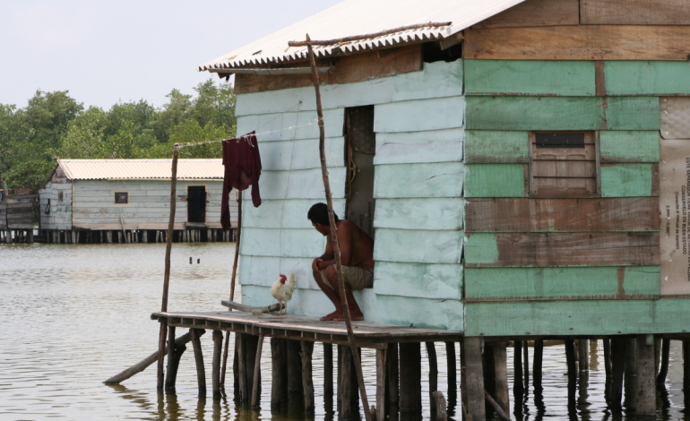 la noche en que la Ciénaga Grande de Santa Marta quedó en silencio

 – Primer plano