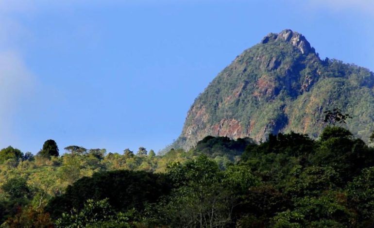 tres policías resultaron heridos; lo que se sabe

 – Primer plano